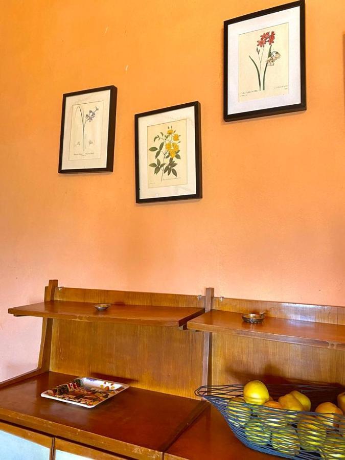 Winery Houses In Chianti Mercatale Val Di Pesa エクステリア 写真
