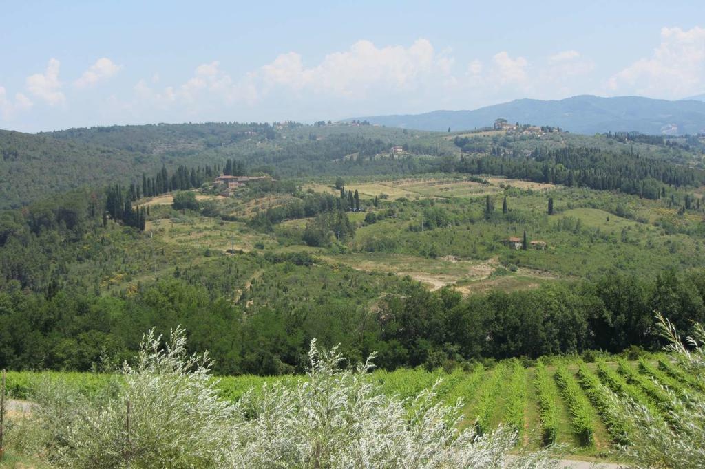 Winery Houses In Chianti Mercatale Val Di Pesa 部屋 写真