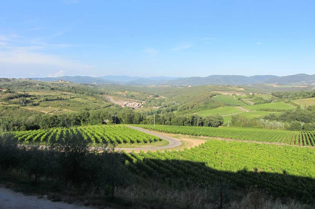 Winery Houses In Chianti Mercatale Val Di Pesa エクステリア 写真