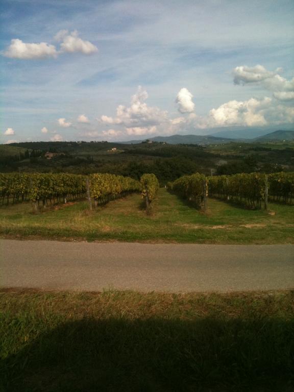 Winery Houses In Chianti Mercatale Val Di Pesa 部屋 写真