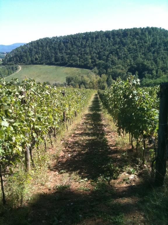 Winery Houses In Chianti Mercatale Val Di Pesa 部屋 写真